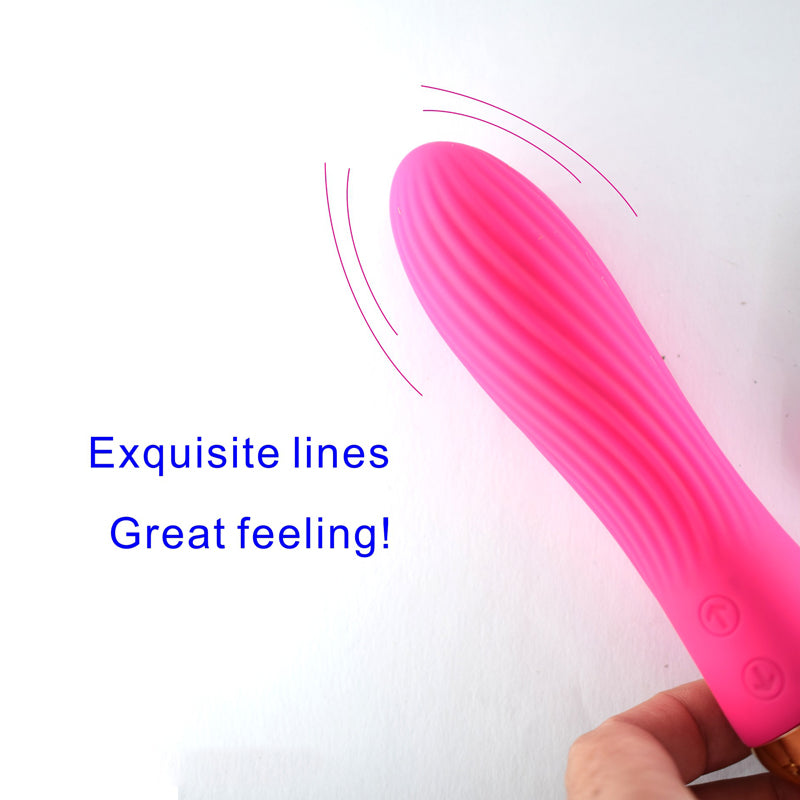 Dual Magnetic Vibrator Manufacturers Secondary image