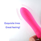 Dual Magnetic Vibrator Manufacturers